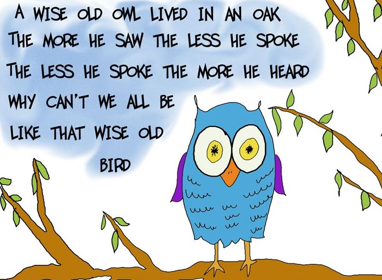 wise-old-owl